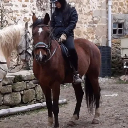 Hotel Rural Aguazul Covanera