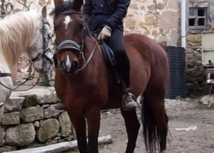 Hotel Rural Aguazul Covanera